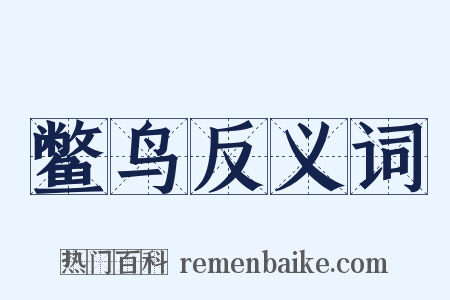 鳖鸟反义词是什么意思的图片